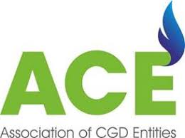 Subhash Kumar takes over as DG, ACE