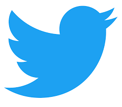 Twitter pauses its newly introduced paid blue tick verification feature: Report