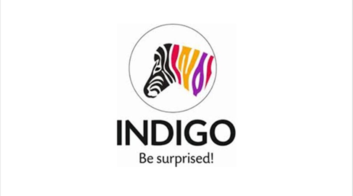 Indigo Paints makes impressive market debut; shares zoom 75 pc