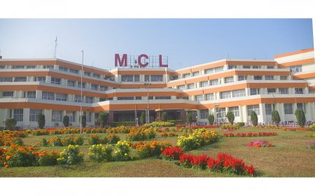 Awadh Kishore Pandey Appointed Director (T/P&P) at Mahanadi Coalfields Ltd