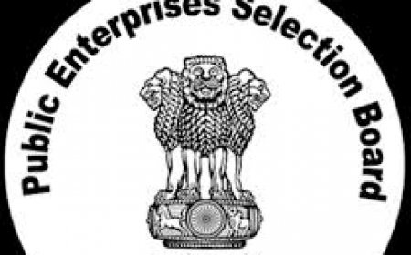 Mallika Srinivasan secures second term as PESB chairperson