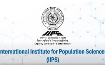 IIPS Mumbai looking for Senior Professor