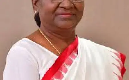 Envoys of five nations present credentials to President