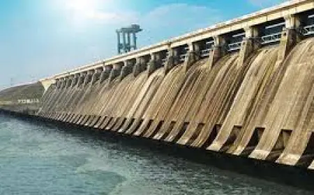 Krishnanunni Appointed as Assessor, MWDT