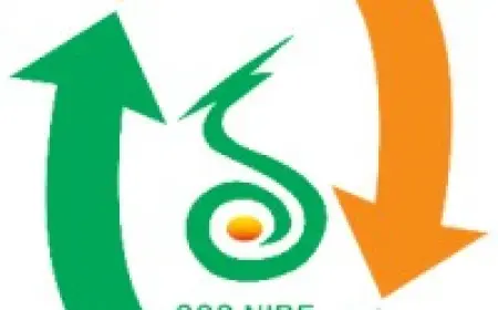 Application Deadline Extended for Research Fellow Posts at SSS-NIBE