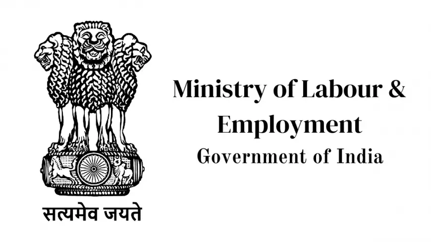 Ministry of Labour Advertises Junior Accountant Post in Audit Cell