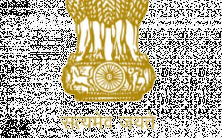 CAPFs on High Alert Amid Organised Crime Rumours