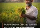 Agricultural Sector Milestone: India Surpasses China as Largest Rice Producer