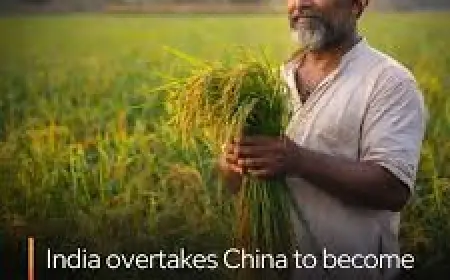 Agricultural Sector Milestone: India Surpasses China as Largest Rice Producer